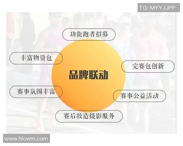 赛事赞助商权益公示及相关权益说明全面解读与透明化管理